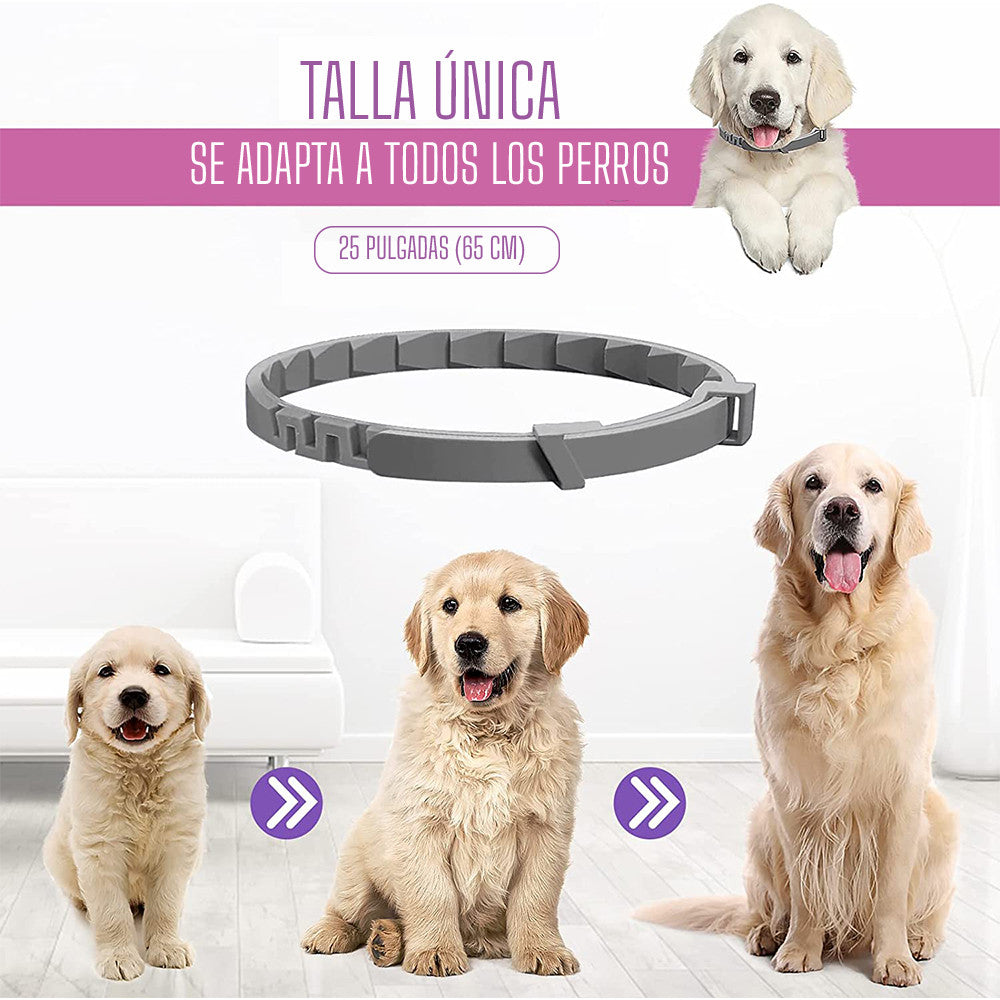 Collar Relajante Para Perro y  Gatos Con Feromonas