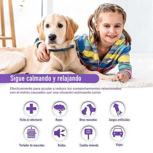 Collar Relajante Para Perro y  Gatos Con Feromonas