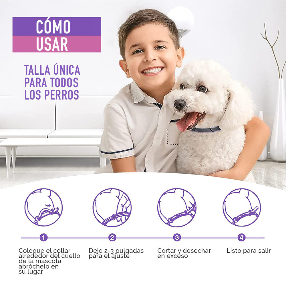 Collar Relajante Para Perro y  Gatos Con Feromonas