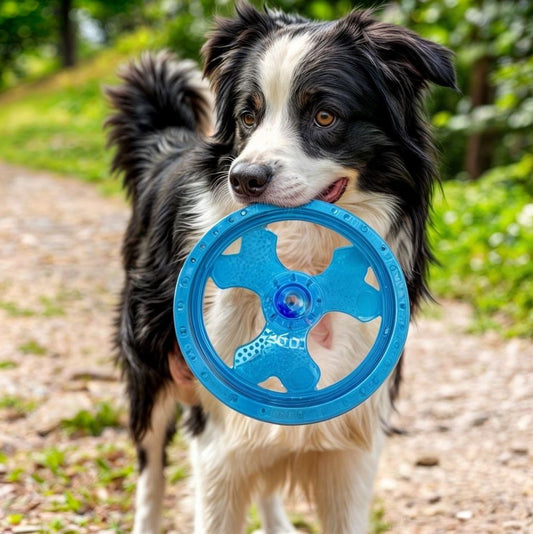 Frisbee Para Perros Juguete Didactico Flexible Con Luces Resistente